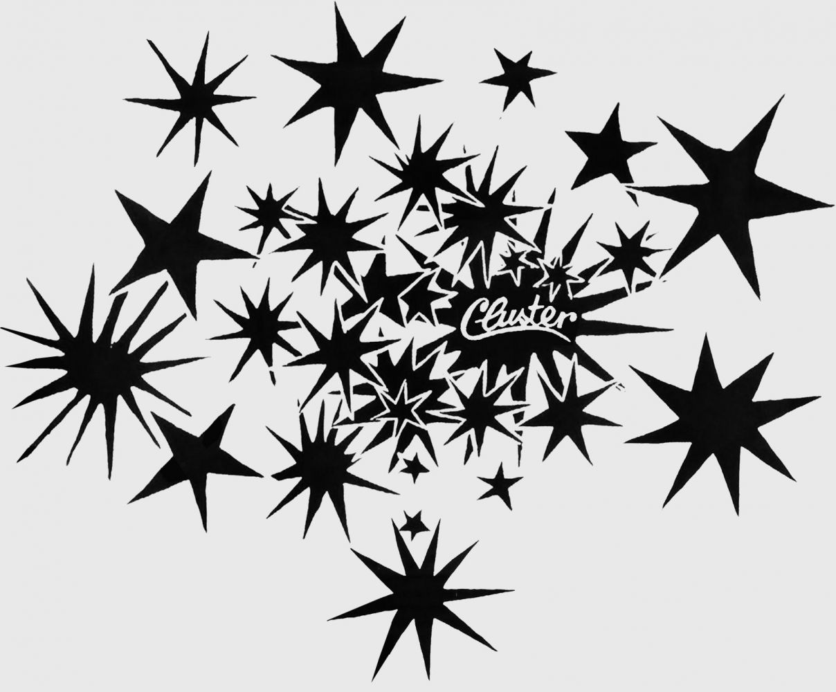 Portrait von Cluster